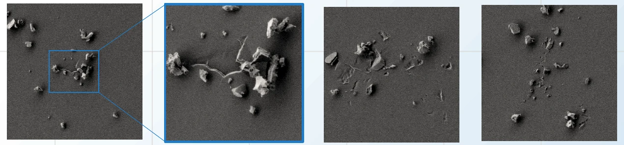BSR-1000 SEM sample review images